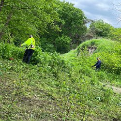 Arbeitseinsatz der Avantgarde