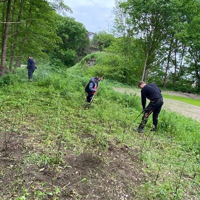 Arbeitseinsatz der Avantgarde